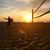 David Wilburn's profile image