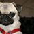 Paula Fulp's profile image