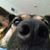 Kelly Bouton's profile image