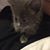 Cindy Lee Moore's profile image