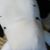 Julie Dutton's profile image