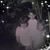 Susan Prang's profile image