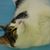 Jennifer Gutmann's profile image