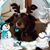 Susan Marie's profile image