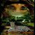 Maureen Weekes's profile image