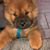 Kathryn Hewitt-Kinnunen's profile image