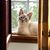 Joyce Wagner's profile image