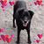 Joseph Bruni's profile image