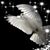 Susy Perez's profile image