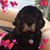 Becky Lorenzo Cloutier's profile image