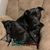 Melody Taylor's profile image