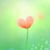 Terrie Waynick Clayton's profile image