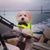 Charley Curran's profile image