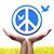 Merrill Johnson's profile image