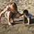 Katie Katie Bobatie's profile image