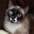 Penny Hodges's profile image
