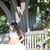 Juliana Lopes Mosher's profile image