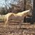 Wendy Basden's profile image
