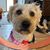 Susan Boroski Ross Fuhr's profile image