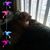 Rosemary Thomas's profile image