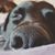 Mallory Lund's profile image