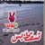 Nada Ahmed's profile image