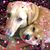 Andrea Hunt's profile image