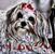 Toni Lippert's profile image