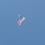 Janis Hagel's profile image