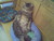 Andrea C.'s profile image