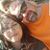 Maribel Hernandez Hansen's profile image