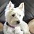 Peggy E Green's profile image