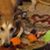 Chuck Edwards's profile image