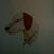 Suzie Q Marley Malkin's profile image