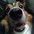 Mark Blaha's profile image