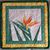 S. Ruth Hameed's profile image