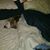 Wendy Dawn's profile image