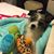 Shelley Freitag Streder's profile image