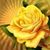Teresa Francis's profile image
