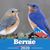 Linda Gardner's profile image