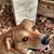 Candace Petron's profile image