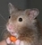 Catherine M.'s profile image