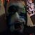 Damien Harteis's profile image