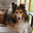 Julie's profile image