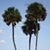 Brenda Miller Brown's profile image