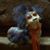 Rayne McYamamotoson's profile image