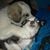 Jasmine Nichole Epperly's profile image