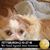 Dina Bloch's profile image