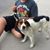Becky Peterson LaPorta's profile image