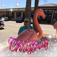 Susan Spahn's profile image